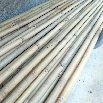 n° 10 Tonchin canes - l. 300 cm - ø 25-30 mm n° 10 Tonchin canes - l. 300 cm - ø 25-30 mm